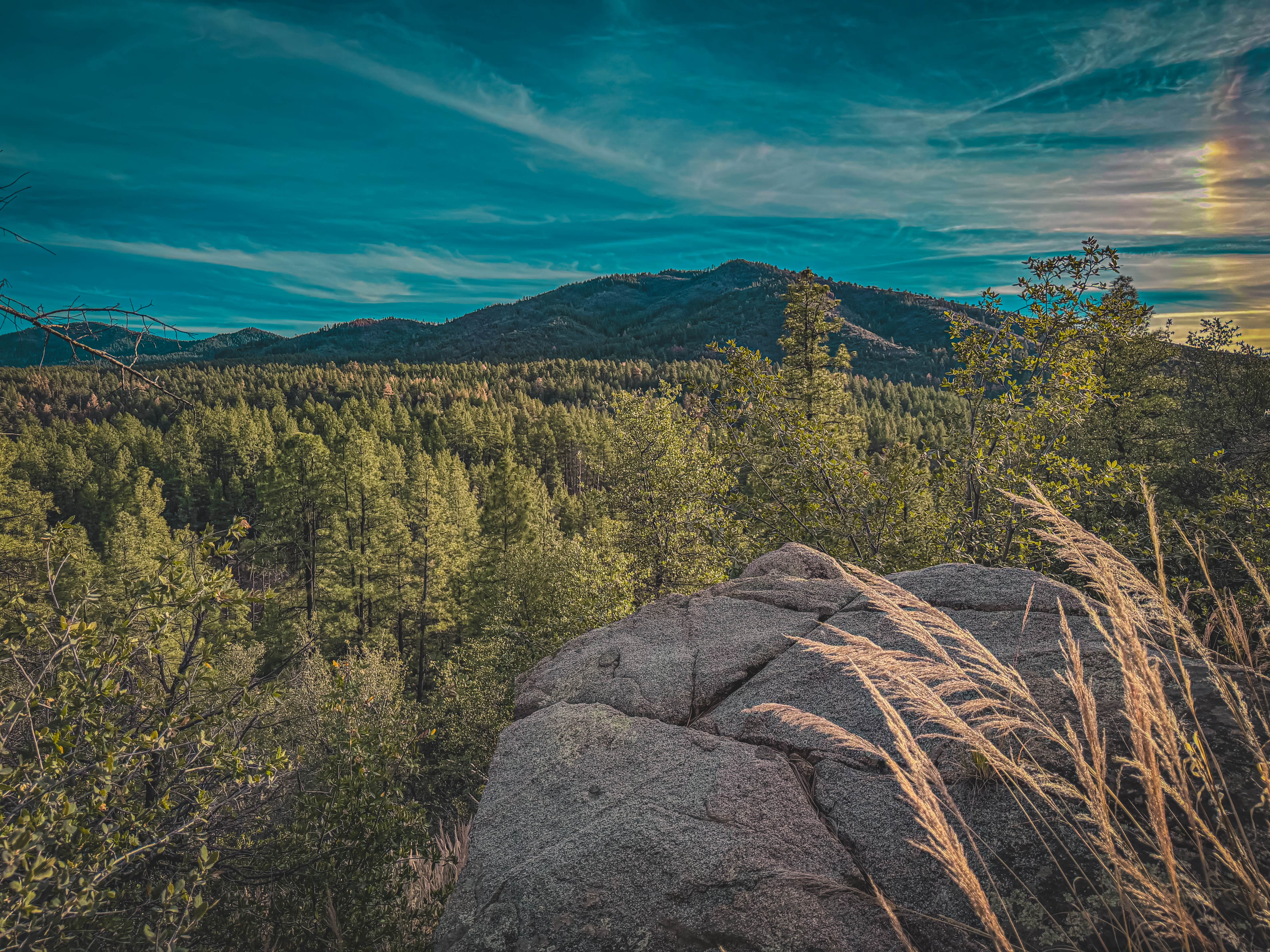 Bobbii J.'s photo of a dispersed camping area at Wolf Creek Road Camp near Prescott Valley, AZ