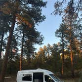 Review photo of Wolf Creek Road Campsites by brendan , May 22, 2025