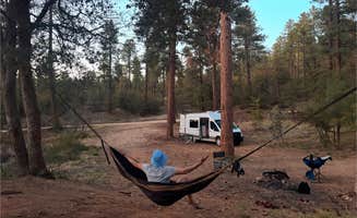 brendan's photo at Wolf Creek Road Campsites near Congress, AZ