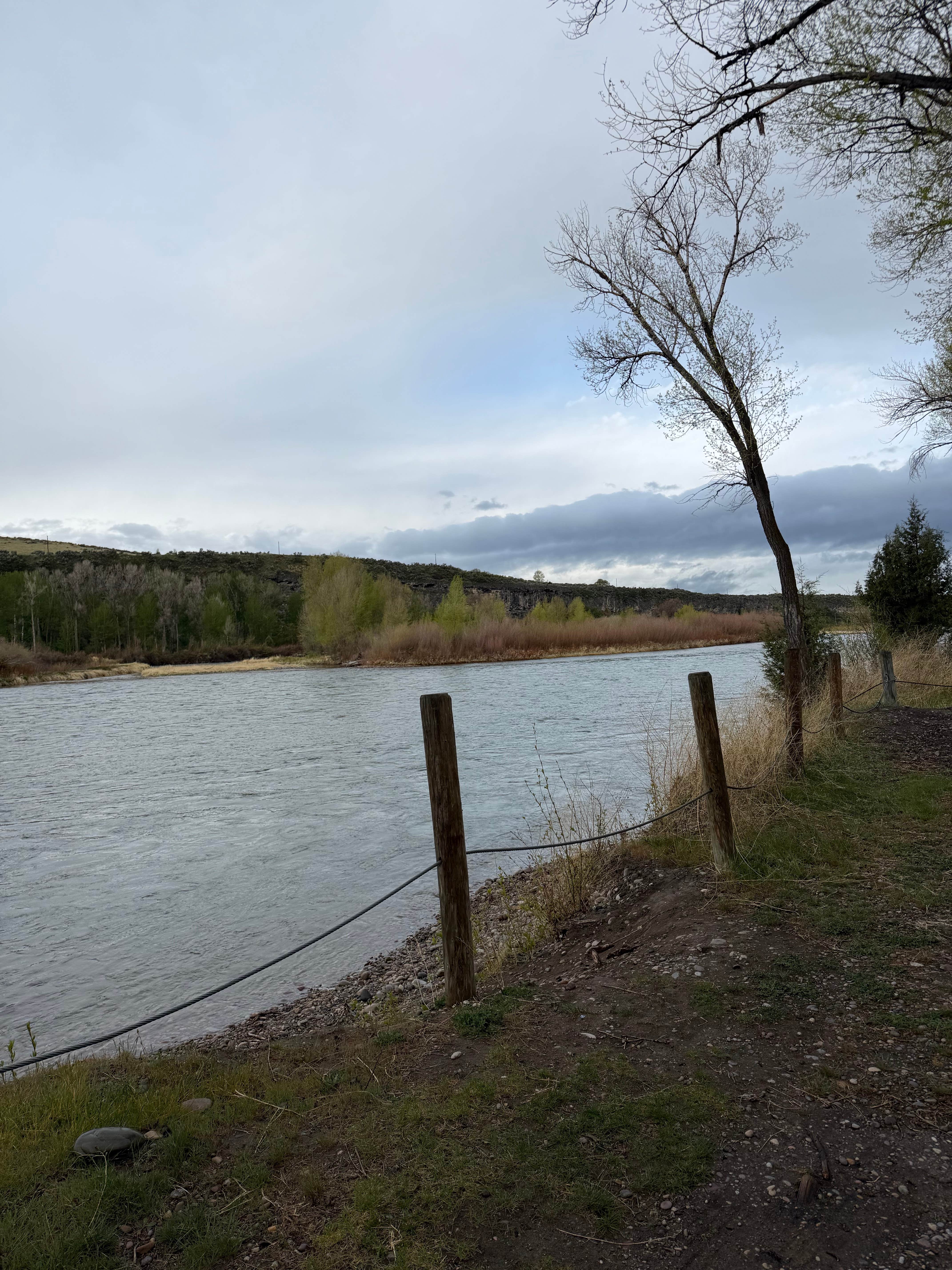 Chase L.'s photo of a dispersed camping area at Wolf Flats Recreation Area near Idaho Falls, ID