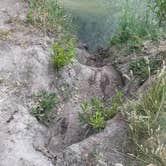 Review photo of Wolf Flats Recreation Area by Azaali J., July 14, 2024