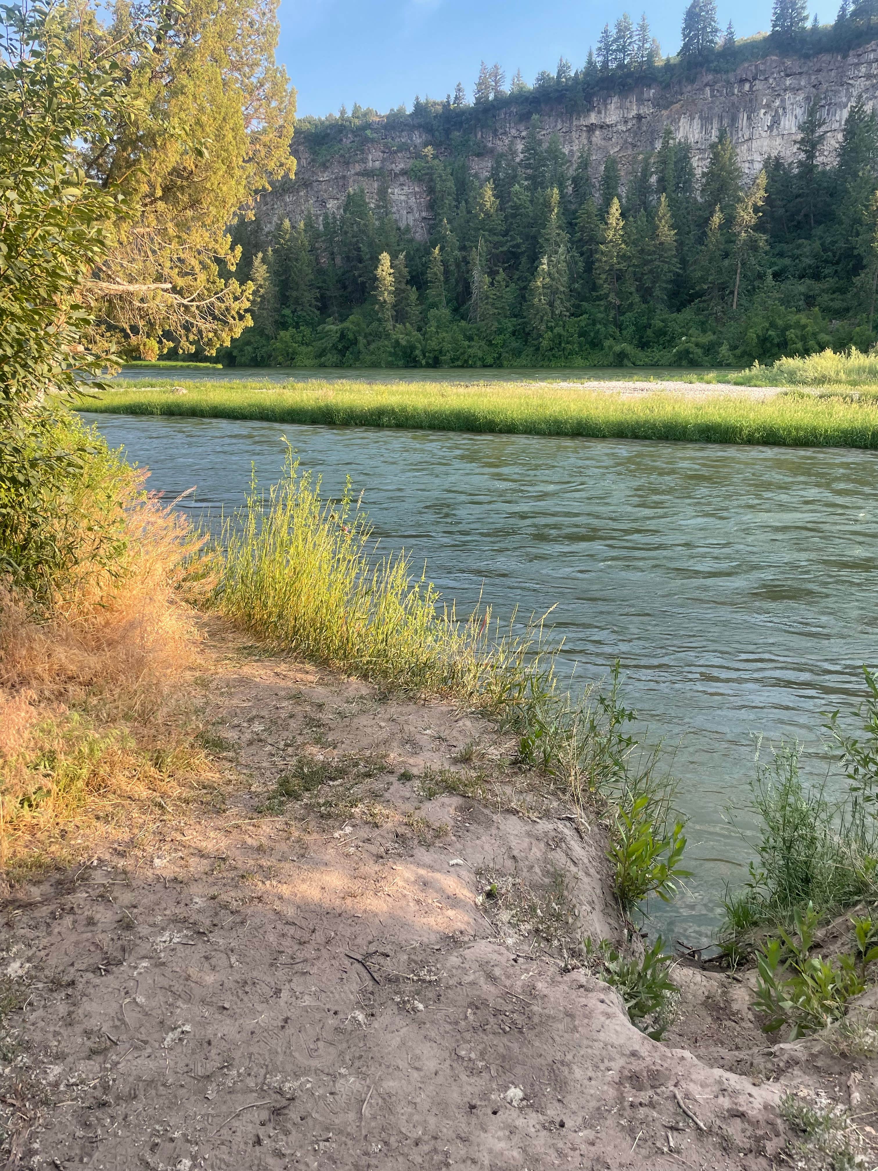 Azaali J.'s photo of a dispersed camping area at Wolf Flats Recreation Area near Irwin, ID