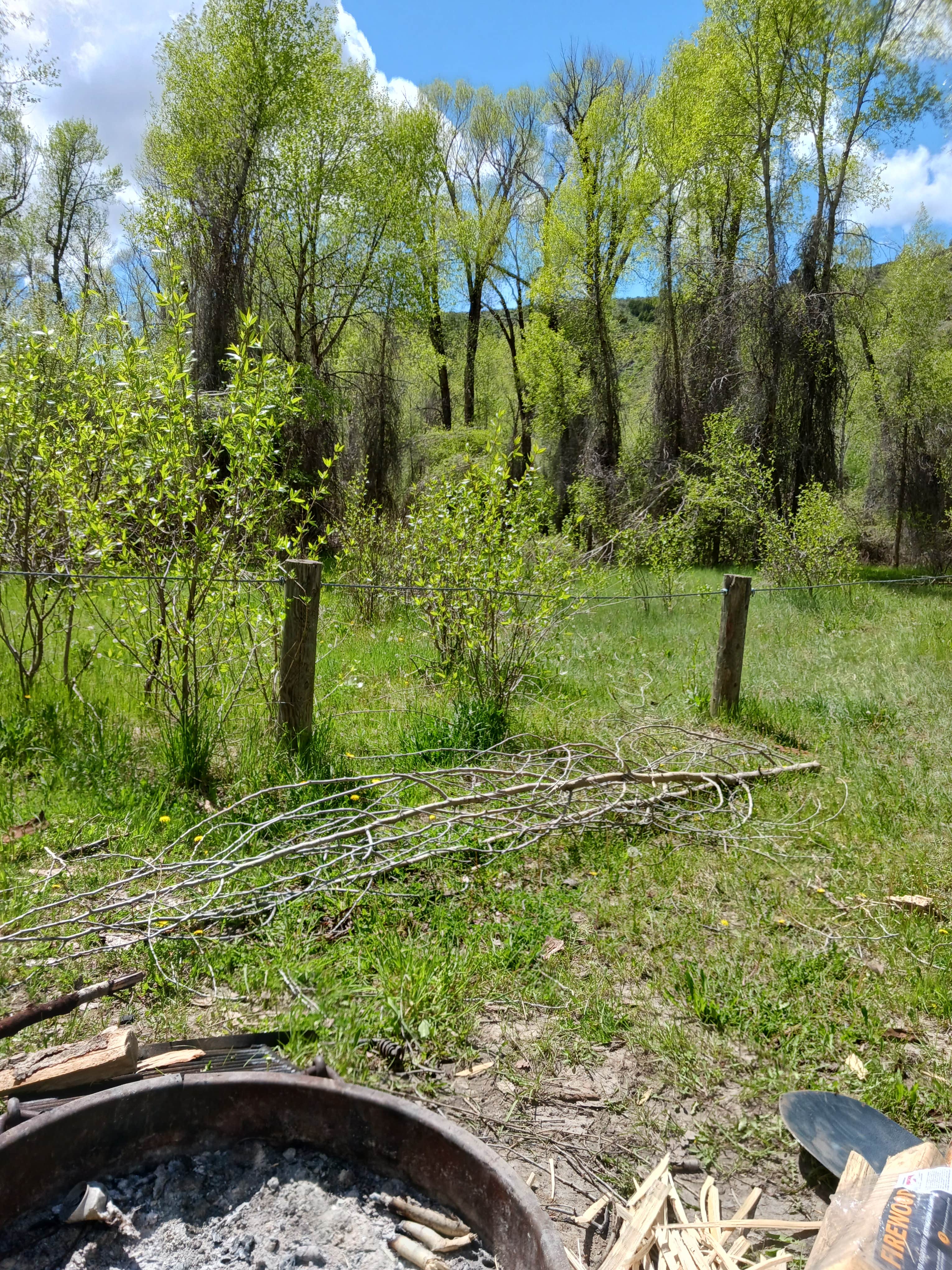 Camper-submitted photo at Wolf Flats Recreation Area near Rigby, ID