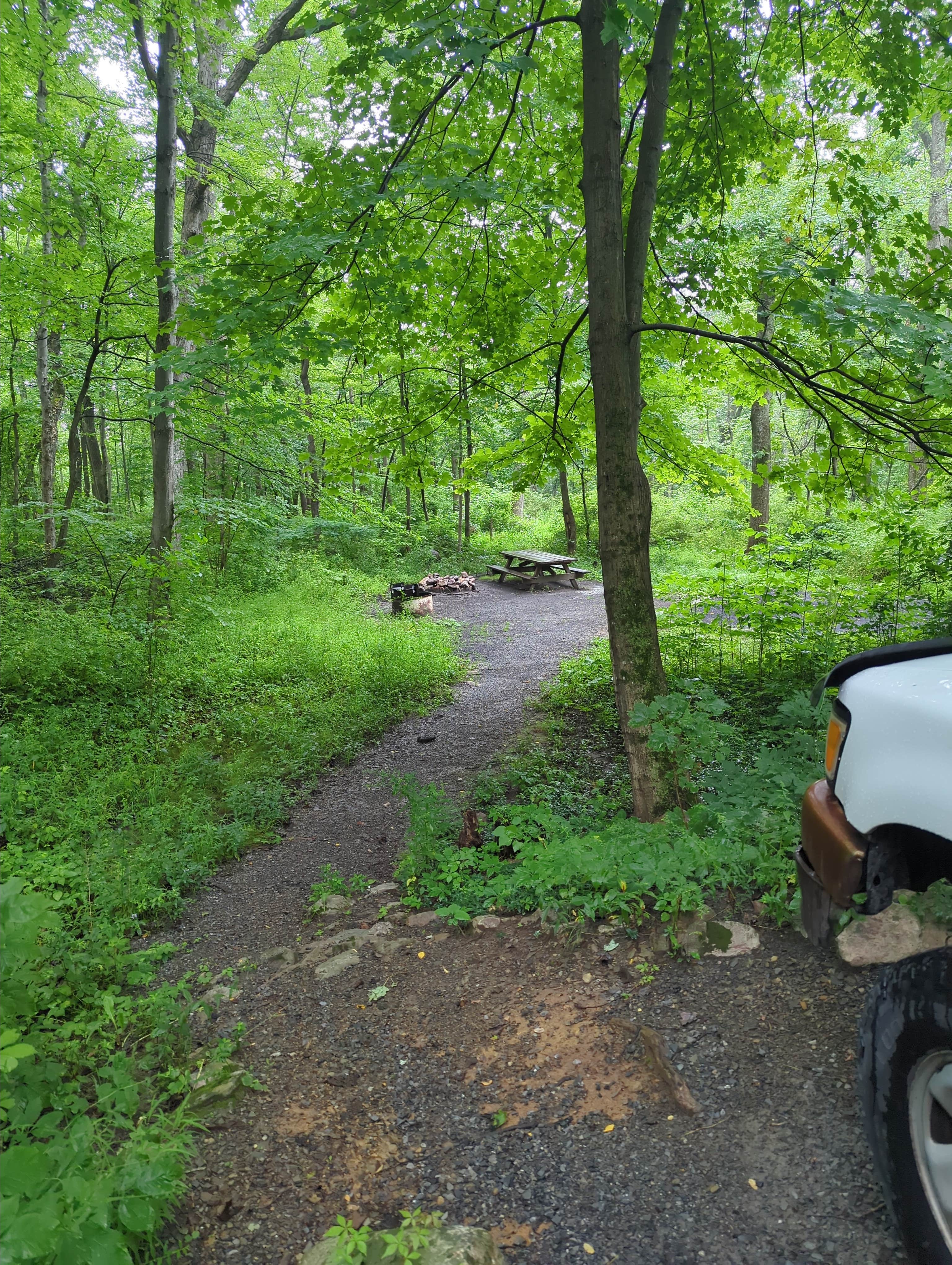 Camper-submitted photo at Wolf Gap Recreation Area near Rippon, WV
