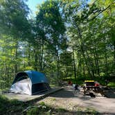 Review photo of Wolf Gap Recreation Area by Carlos O., May 31, 2026