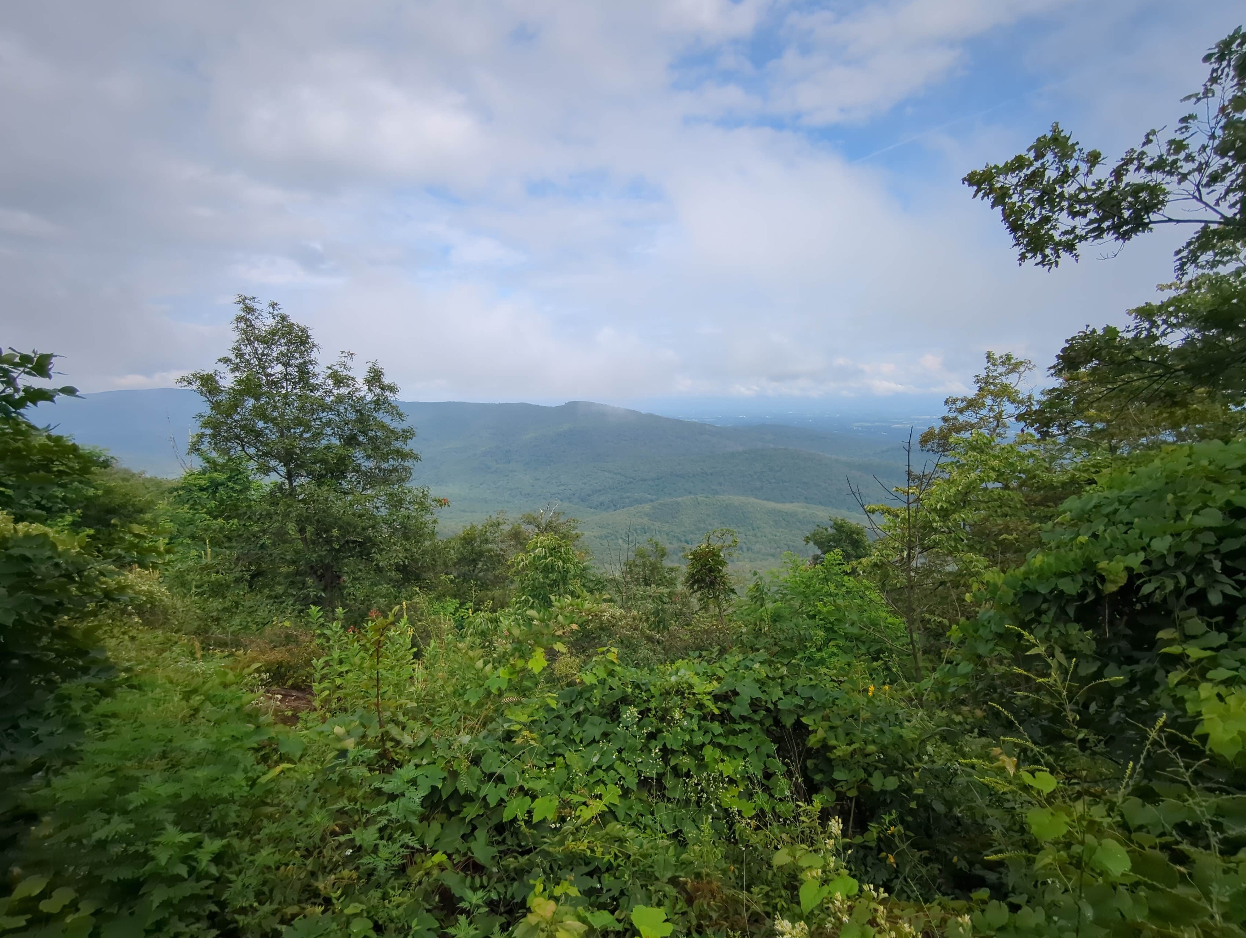 Camper submitted image from Wolf Gap Recreation Area - 1