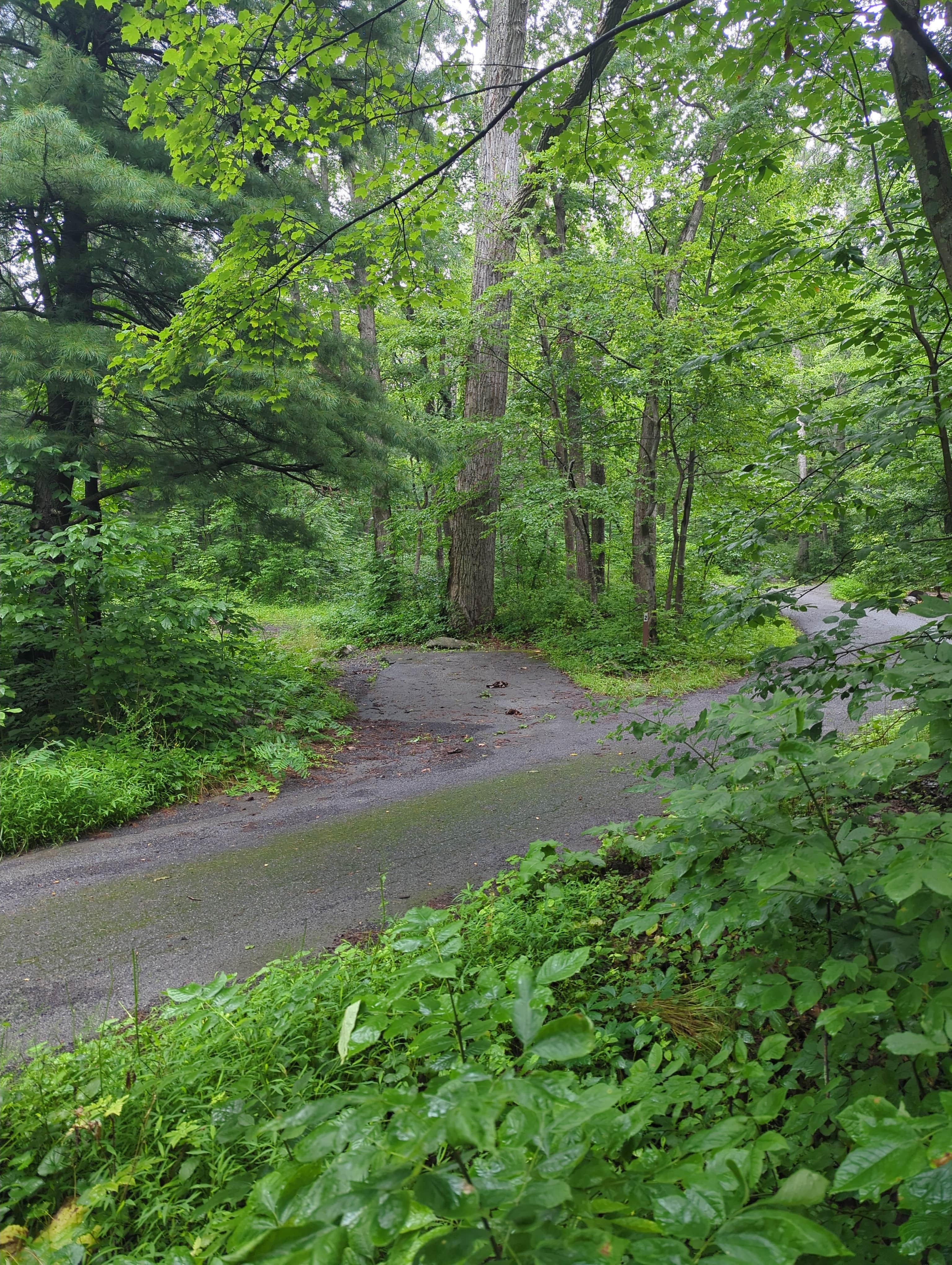 Camper-submitted photo at Wolf Gap Recreation Area near Rippon, WV