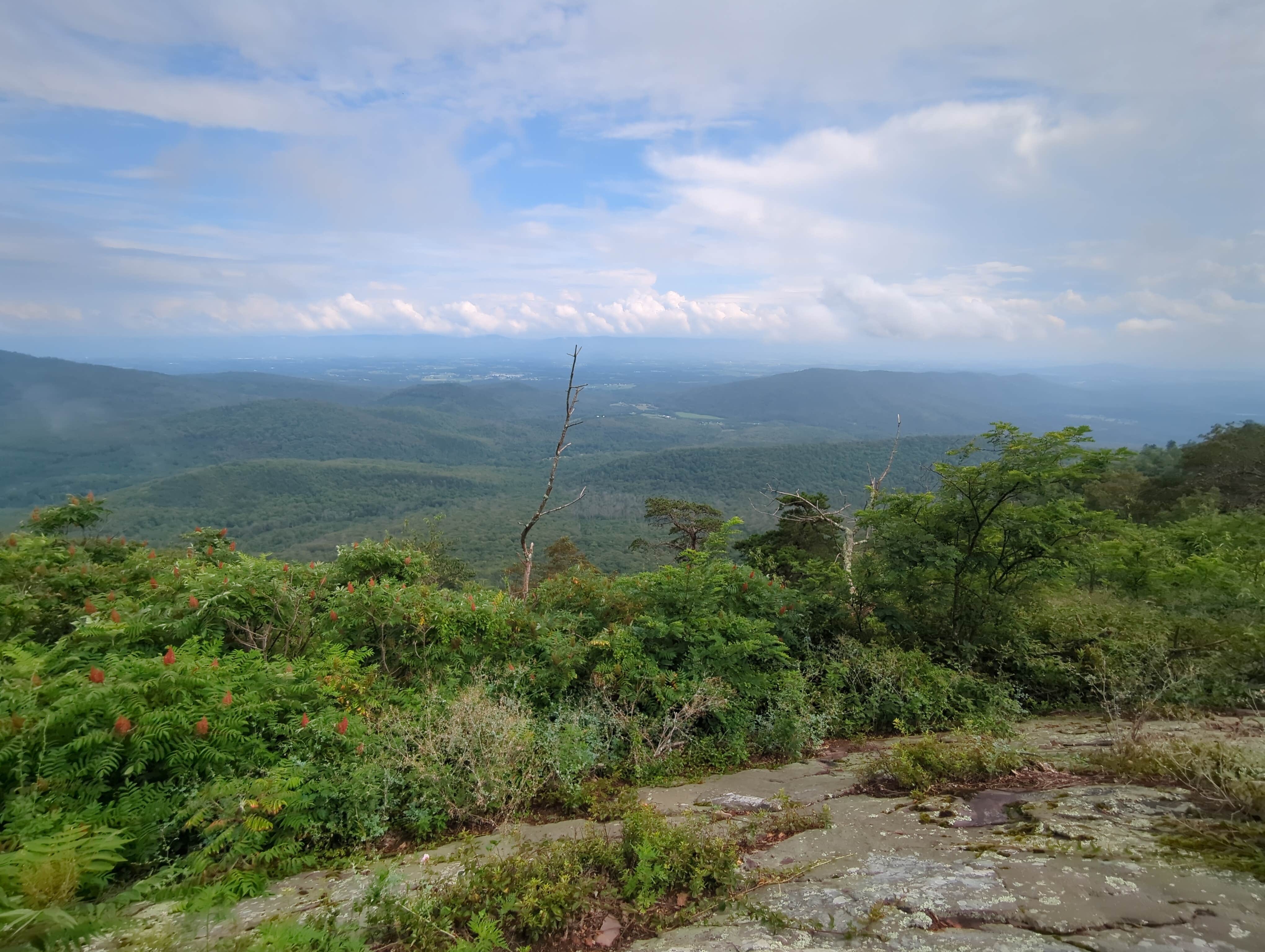Jason R.'s photo of a dispersed camping area at Wolf Gap Recreation Area near Rippon, WV