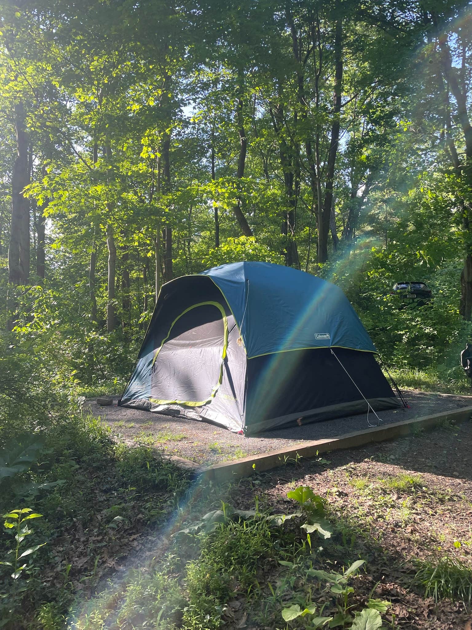Carlos O.'s photo at Wolf Gap Recreation Area near Mount Jackson, VA