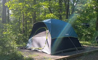 Carlos O.'s photo at Wolf Gap Recreation Area near Mount Jackson, VA