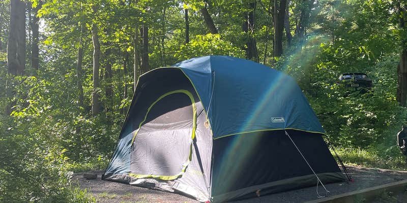 Camper submitted image from Wolf Gap Recreation Area