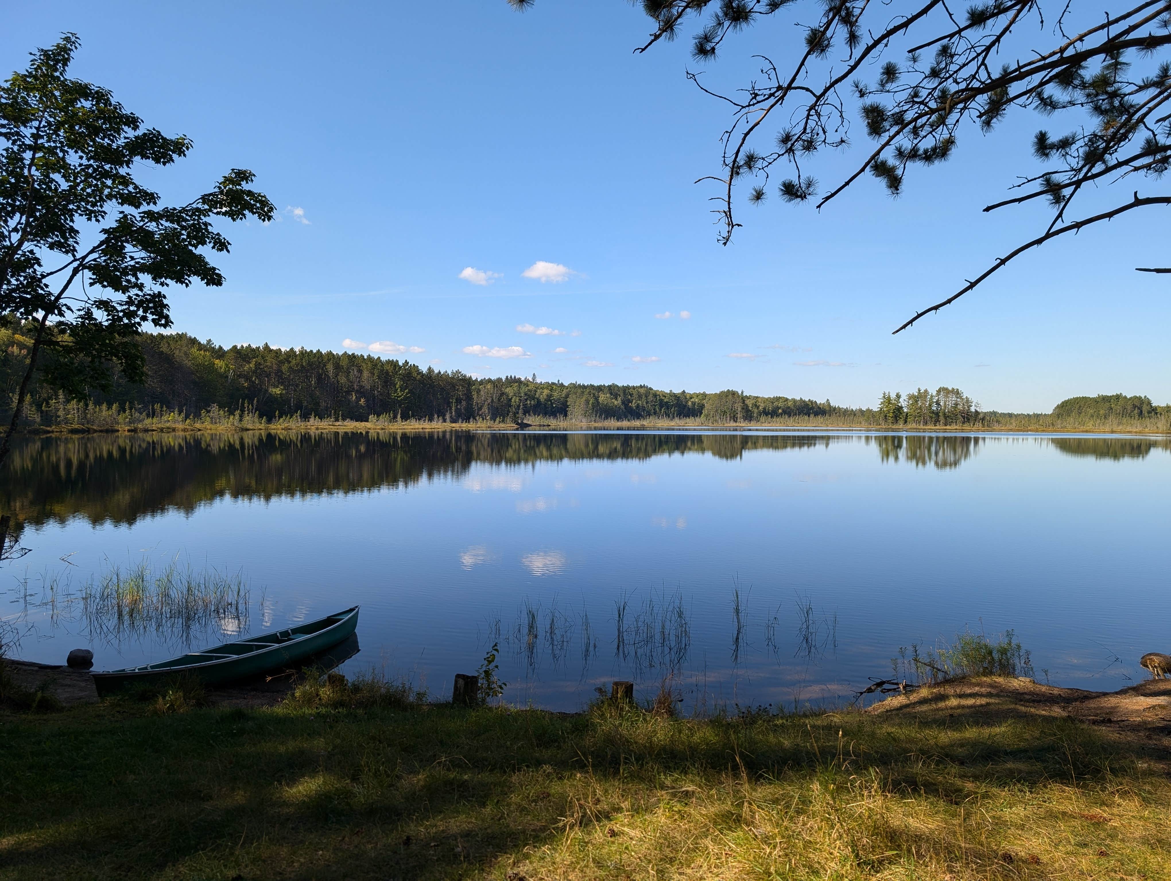 Camper submitted image from Wolf Lake Campsite - 4