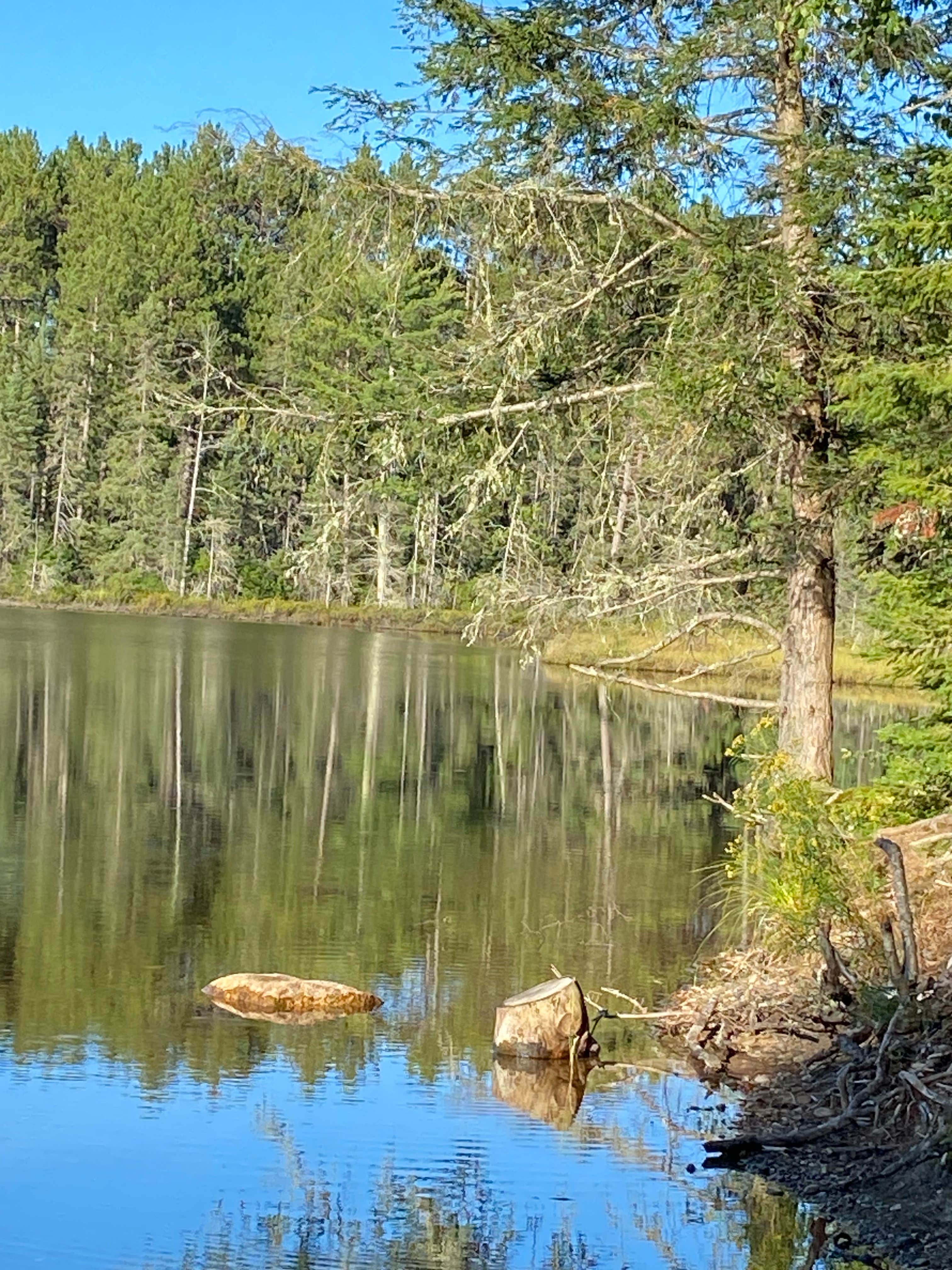 Camper-submitted photo at Wolf Lake Campsite near Three Lakes, WI