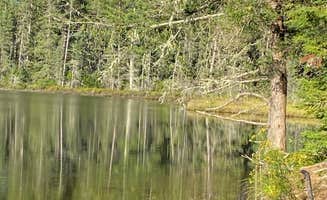 Kay K.'s photo of a dispersed camping area at Wolf Lake Campsite in Wisconsin