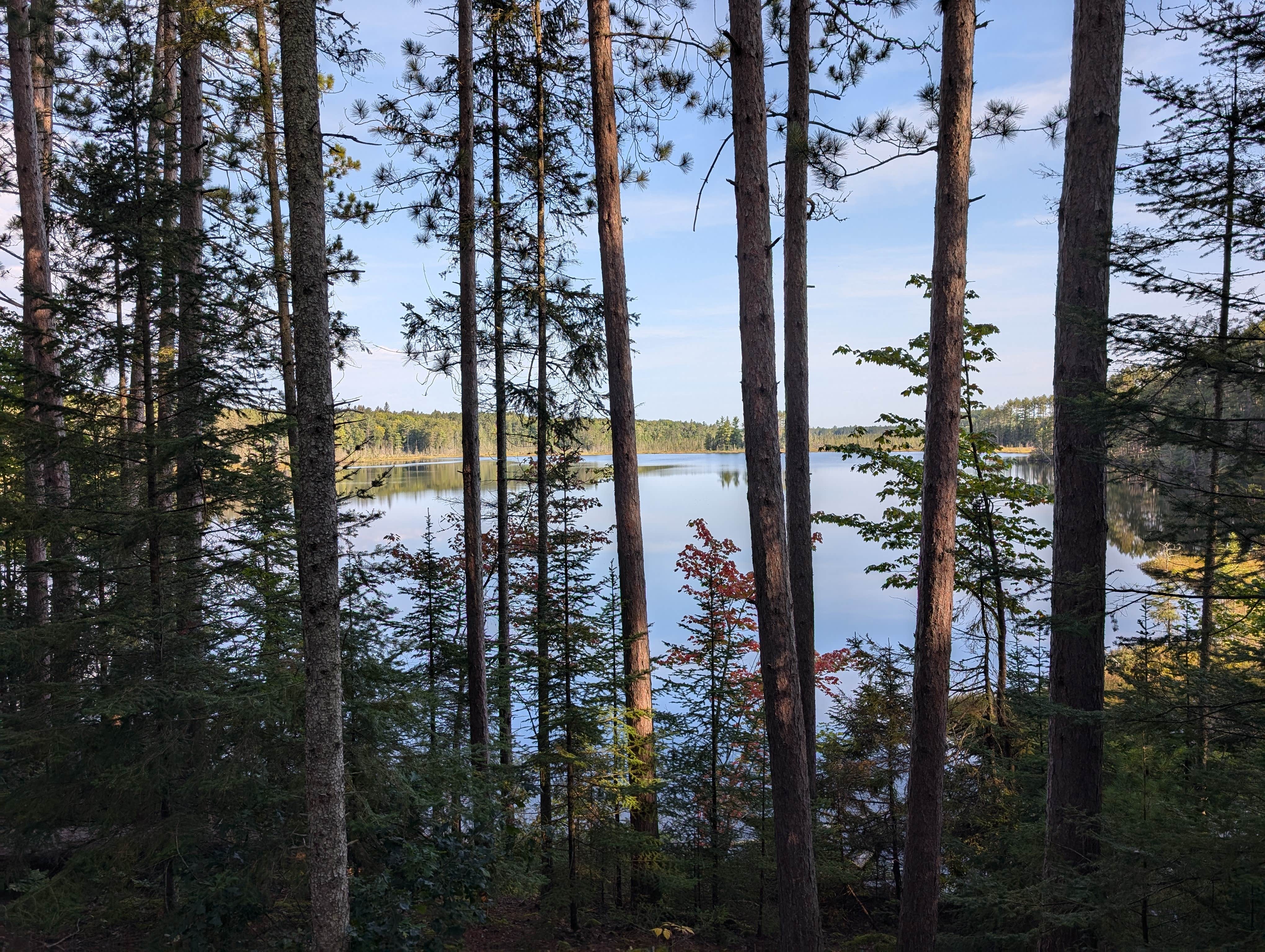 Camper-submitted photo at Wolf Lake Campsite near Trout Creek, MI