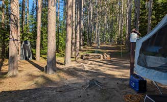hesselinkj@yahoo.com's photo at Wolf Lake Campsite near Chequamegon-Nicolet National Forest