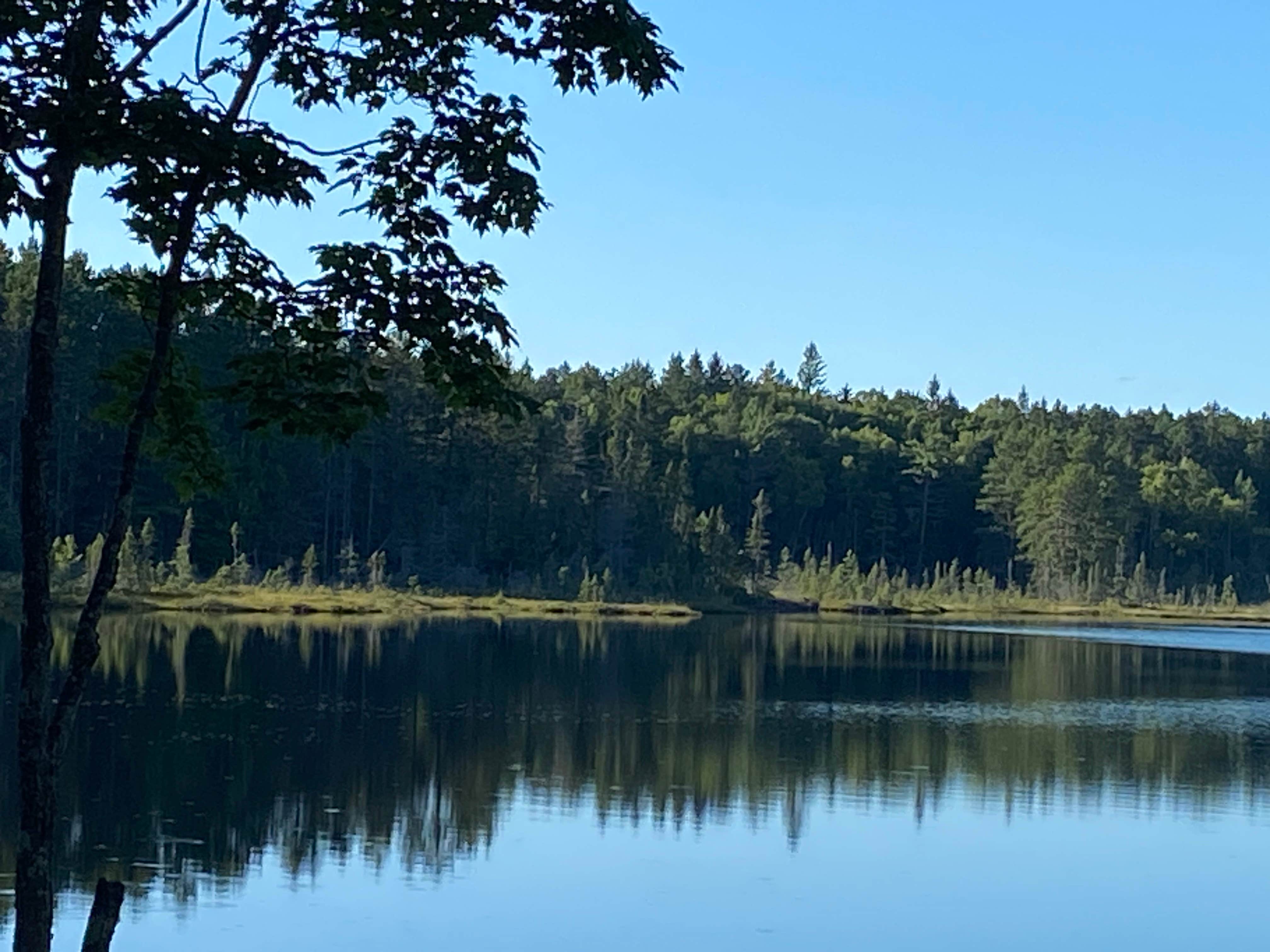 Kay K.'s photo of a dispersed camping area at Wolf Lake Campsite near Trout Creek, MI