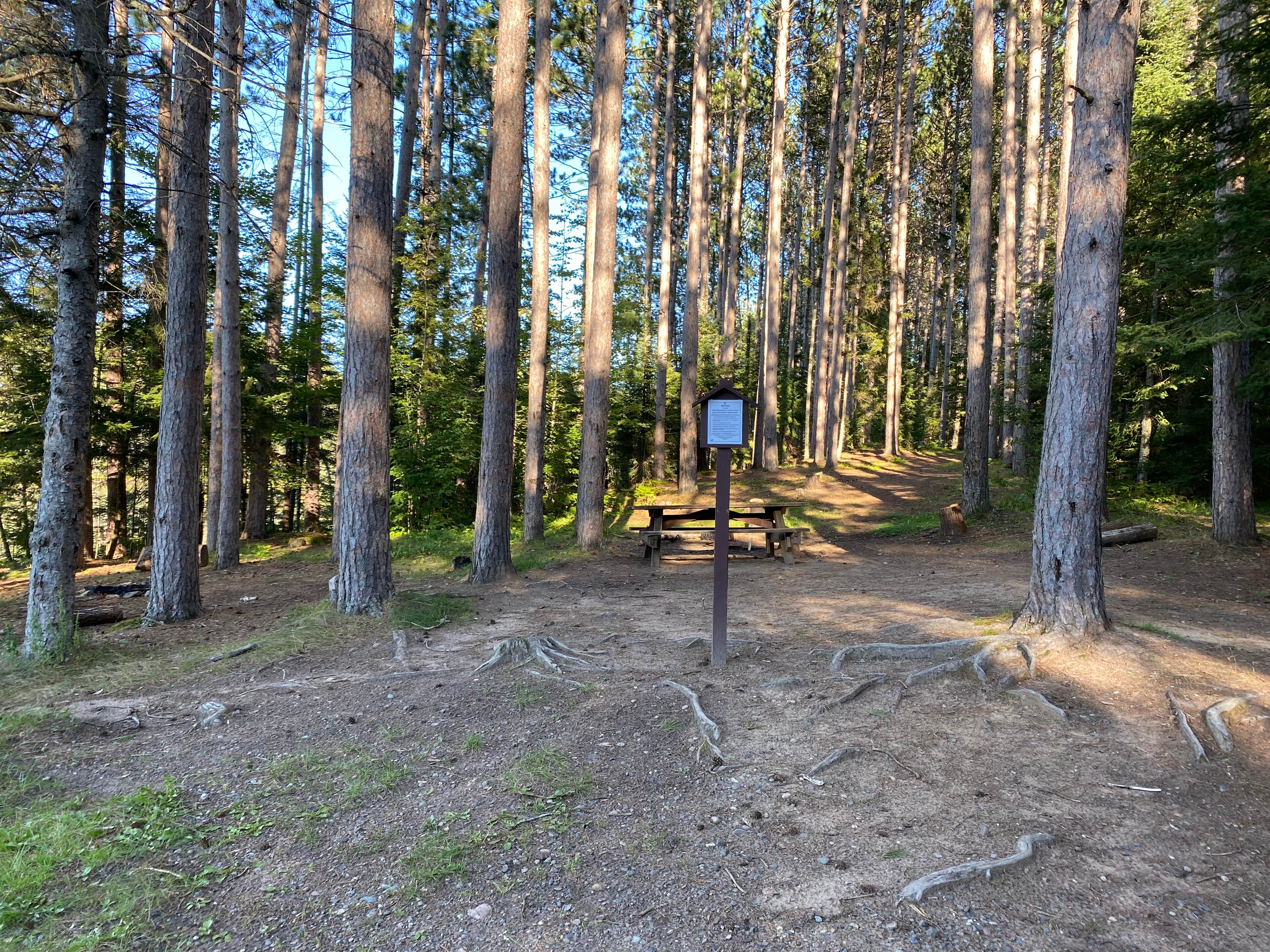 Camper submitted image from Wolf Lake Campsite - 4
