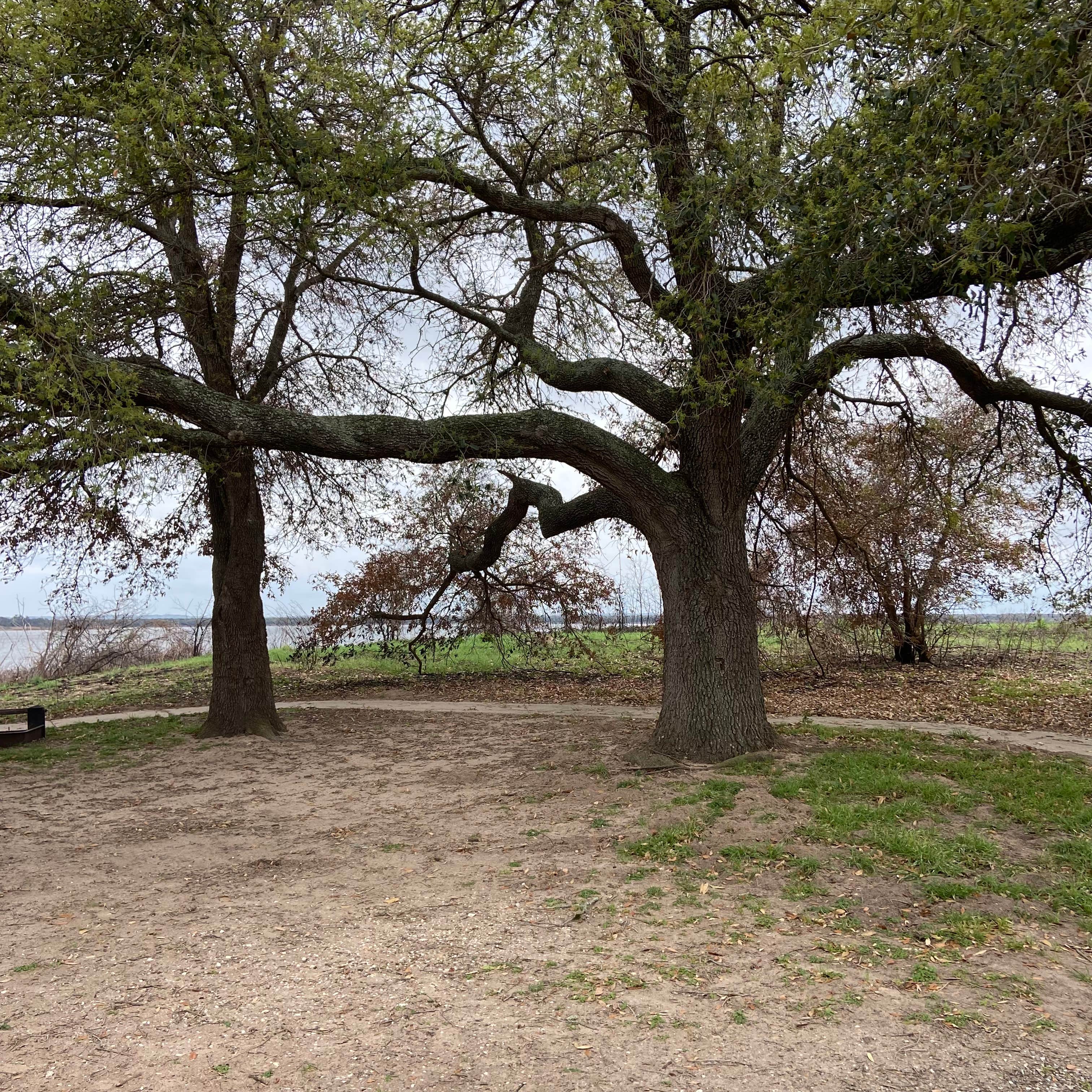 Camping near Big Creek Resort, Marina, & Campground: Wolf Pond Group Camp — Lake Somerville State Park, Somerville, Texas