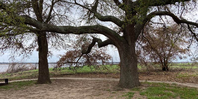 Camper submitted image from Wolf Pond Group Camp — Lake Somerville State Park