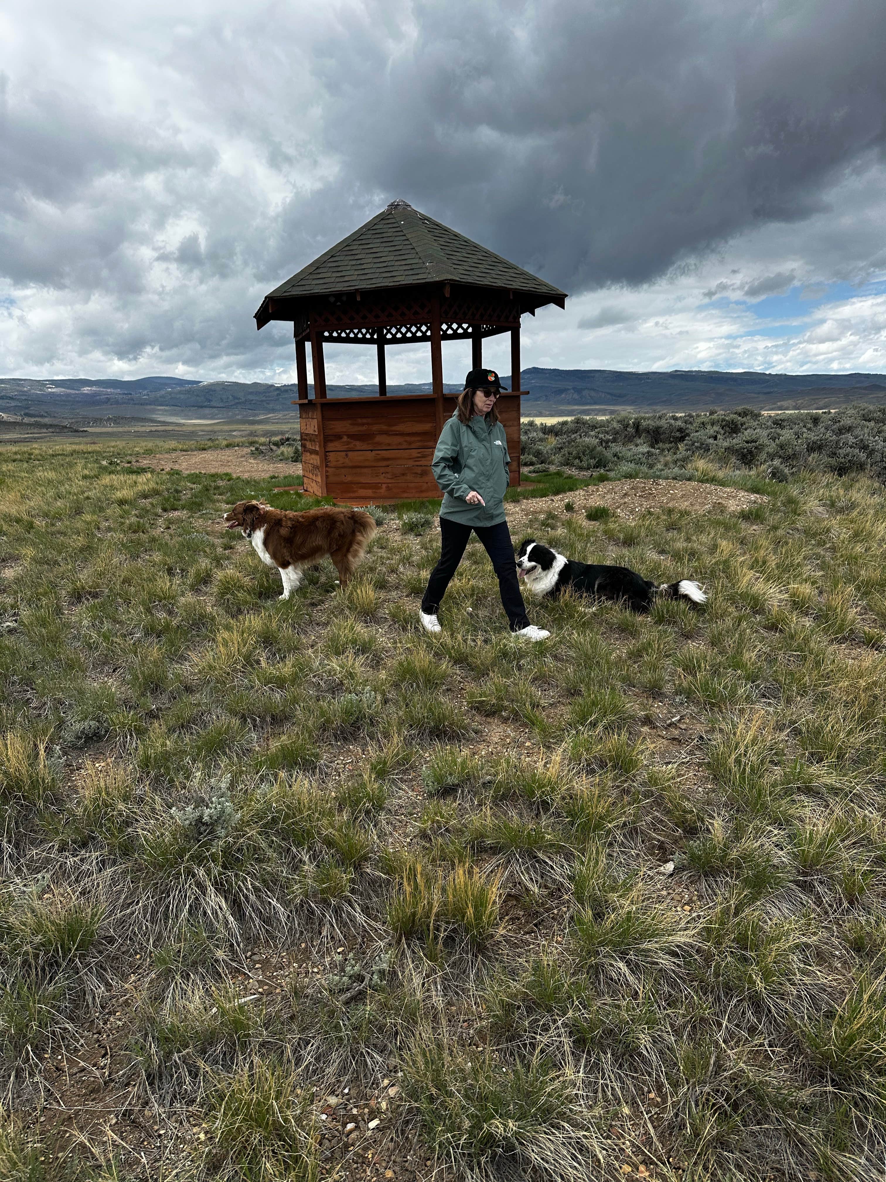Richard S.'s photo of camping with pets at Wolford Campground near Kremmling, CO