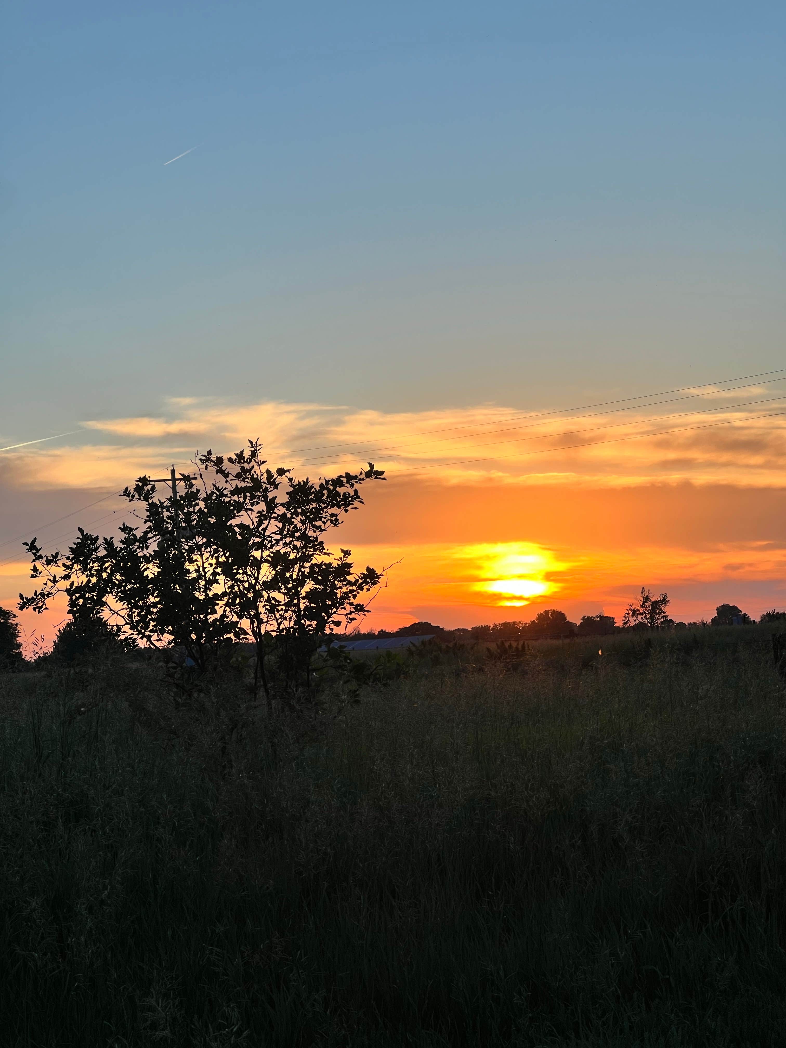 Camper-submitted photo at Wood River West State Wildlife Management Area in Nebraska