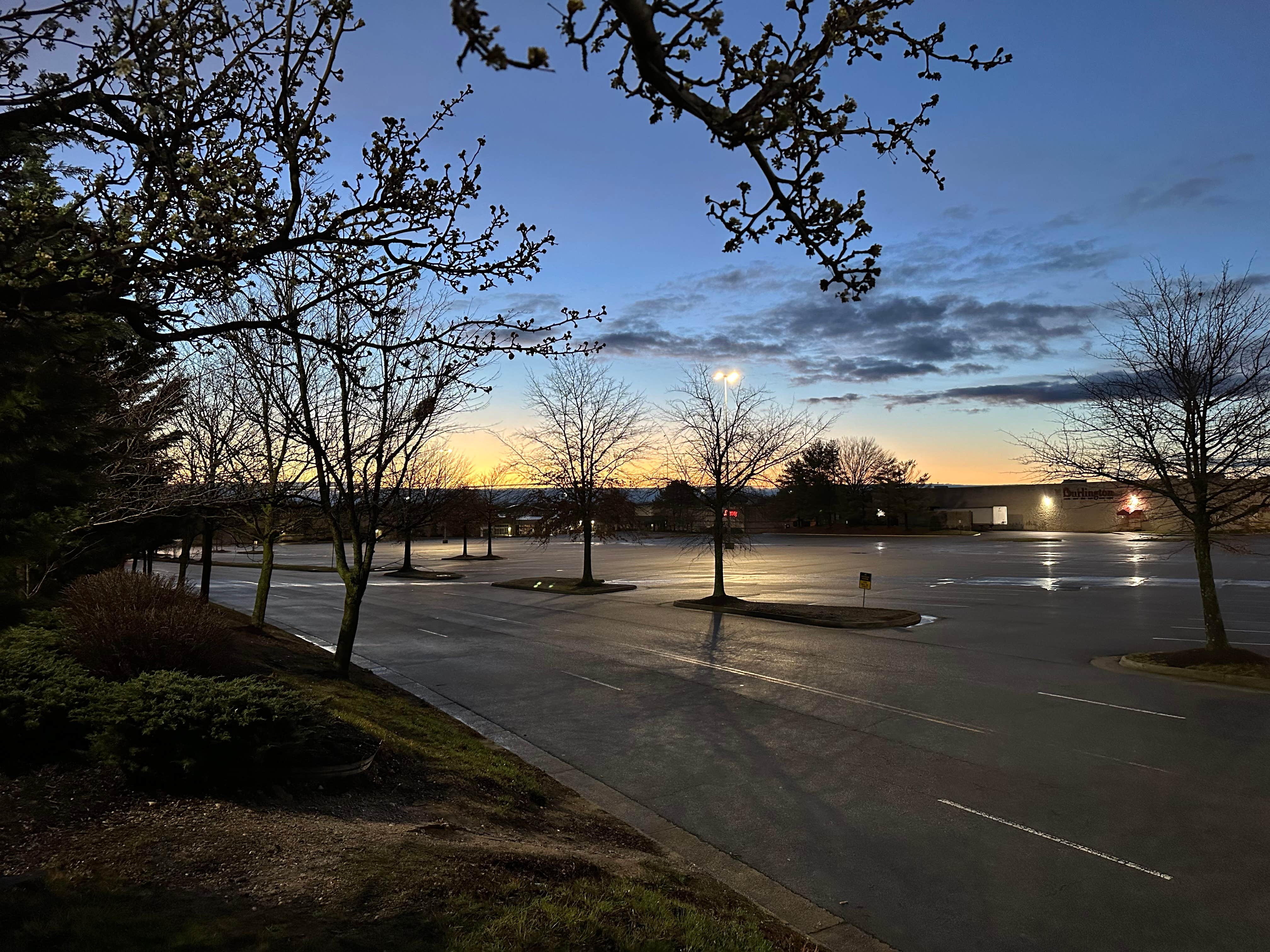 Woodbridge Sam's Club