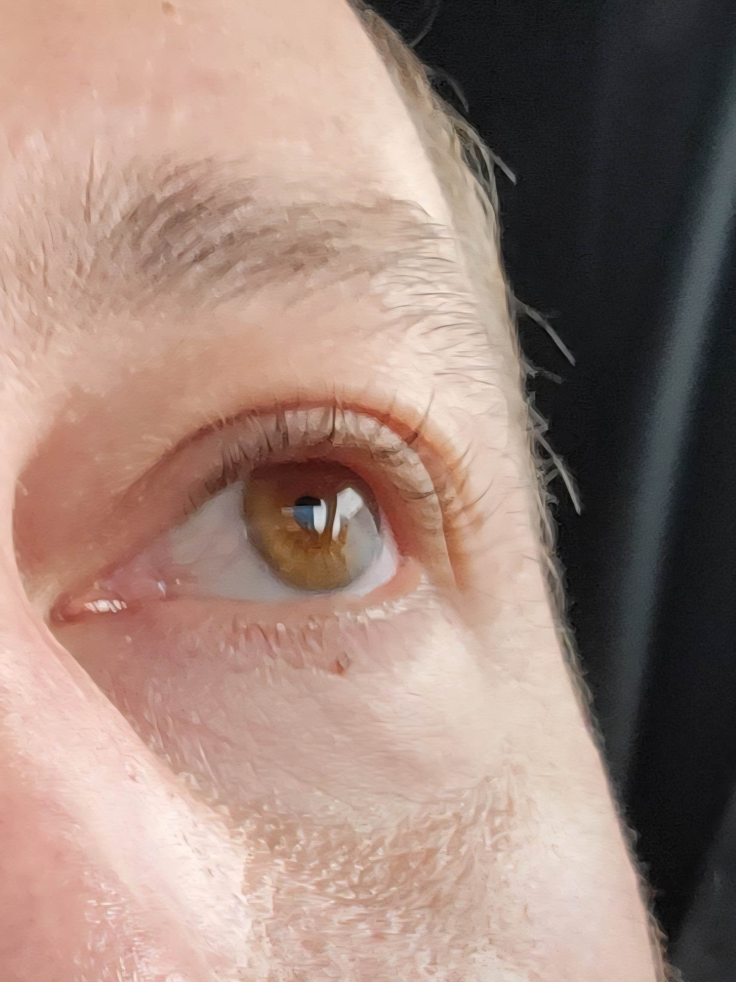 Camper-submitted photo at Portland-Woodburn RV Park near Donald, OR