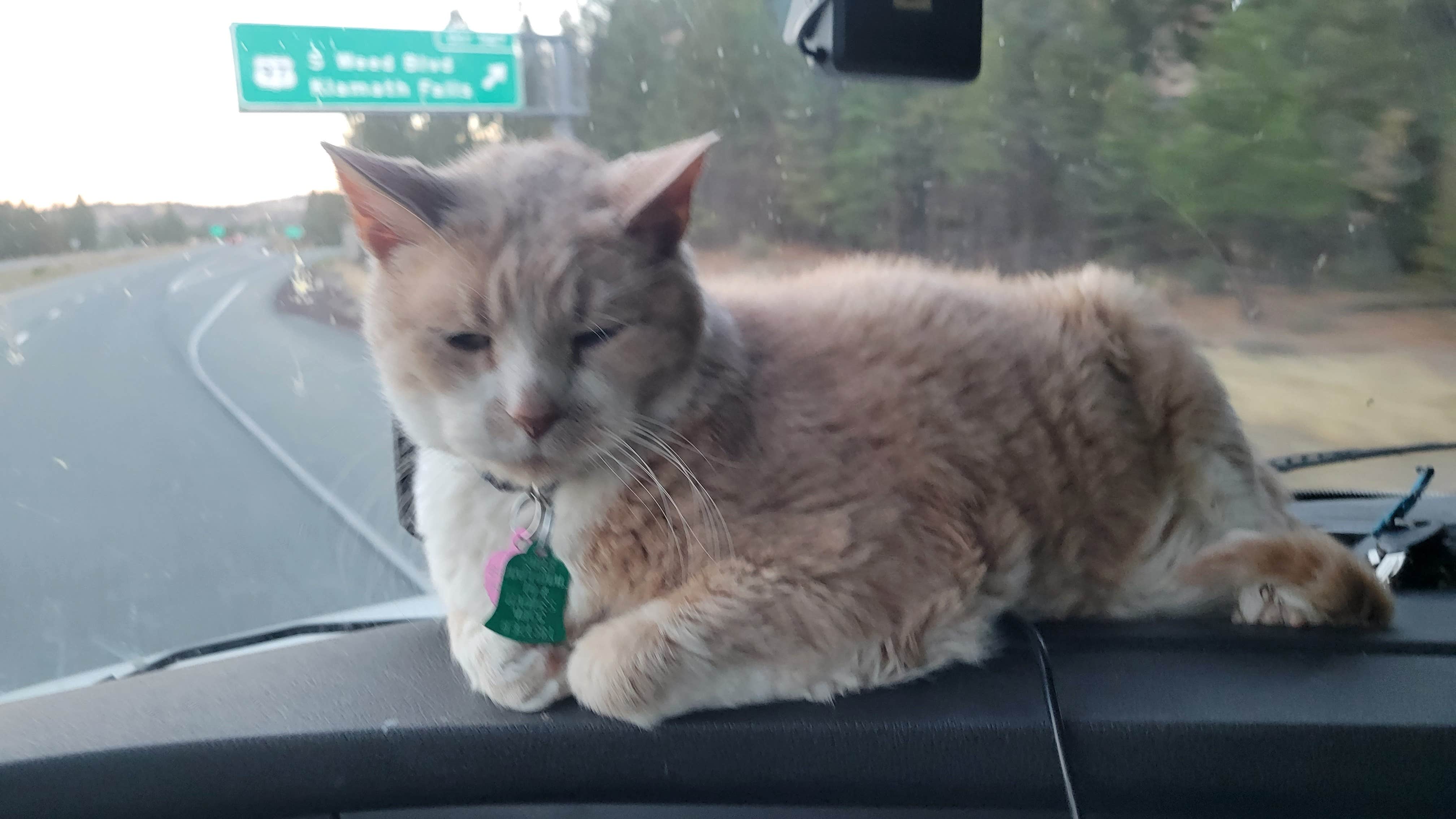 Camper-submitted photo at Portland-Woodburn RV Park near Donald, OR