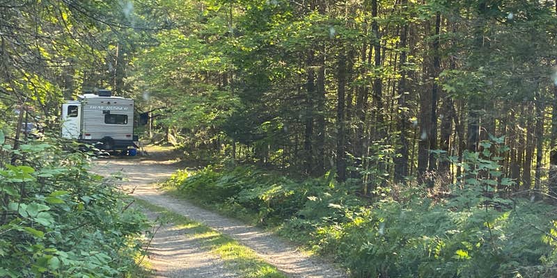 Camper submitted image from Woodbury Lake Campsite