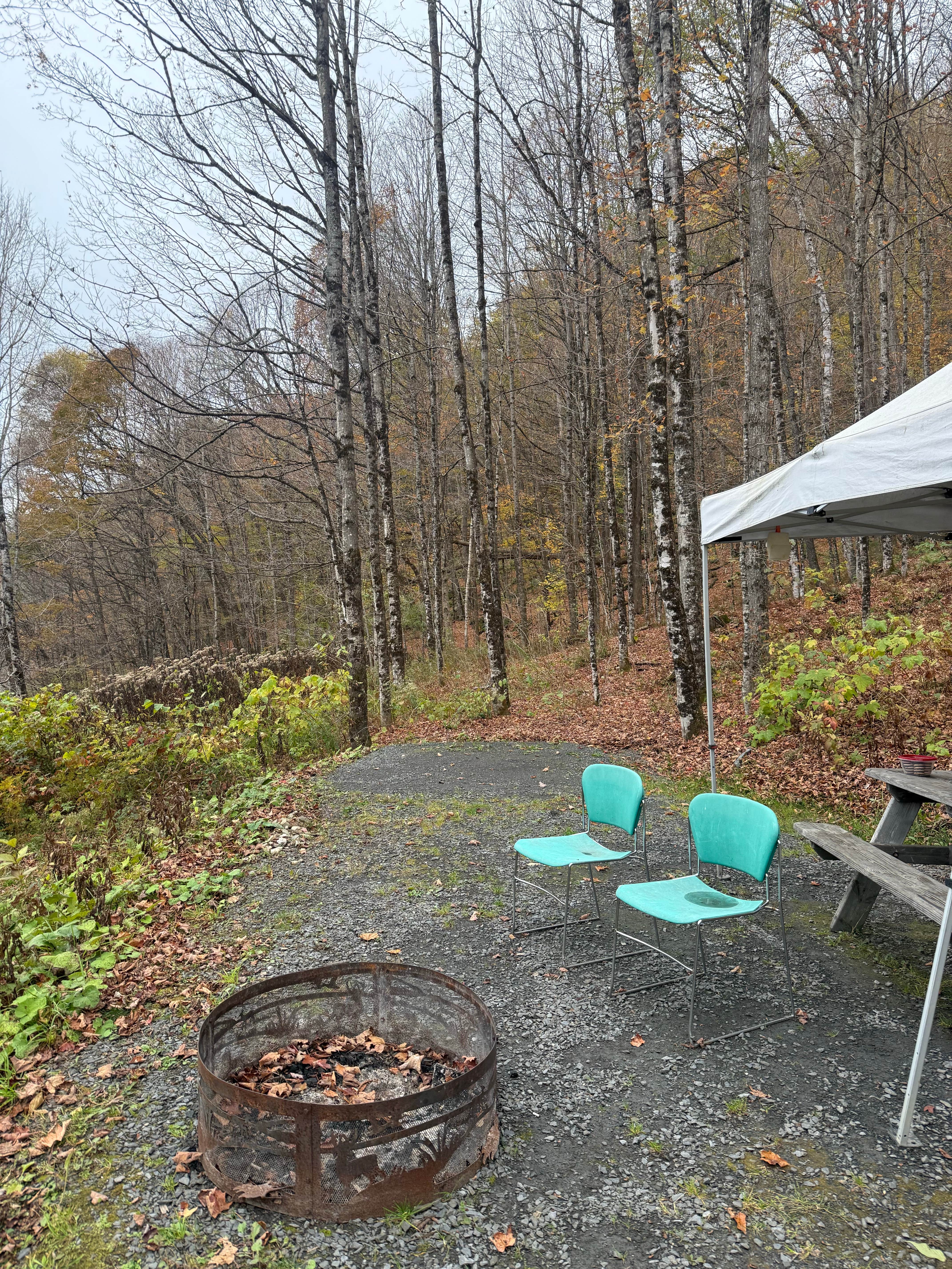 Camper submitted image from Woodbury Meadows Campground - 4