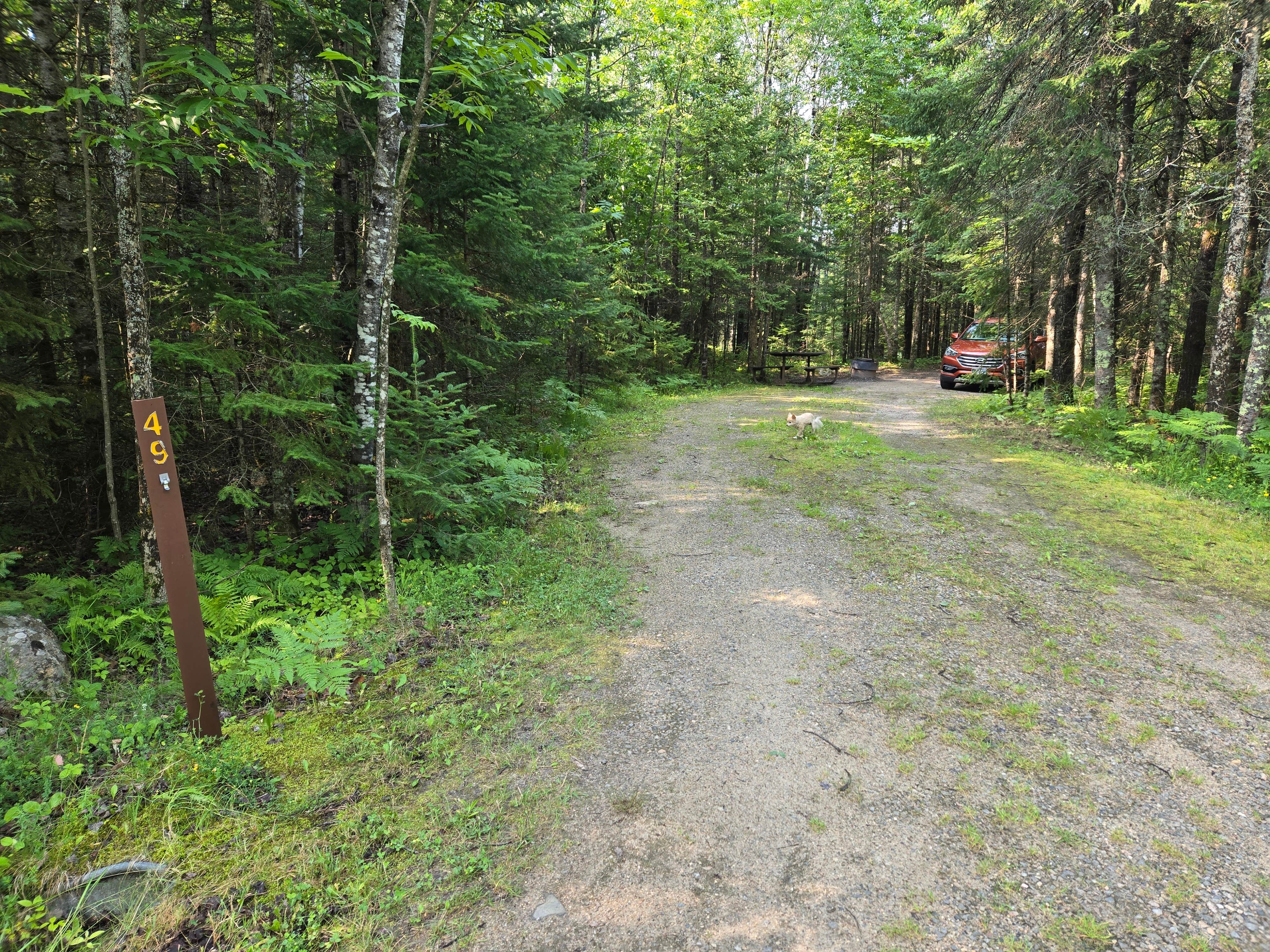 Susan R.'s photo of camping with pets at Woodenfrog Campground near Voyageurs National Park