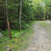 Review photo of Woodenfrog Campground by Susan R., July 19, 2025
