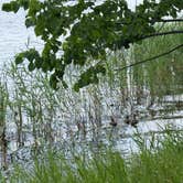 Review photo of Woodenfrog Campground by Sally T., July 18, 2026