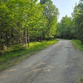 Review photo of Woodenfrog Campground by Susan R., July 19, 2025
