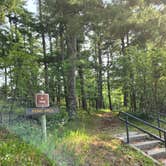 Review photo of Woodenfrog Campground by Susan R., July 19, 2025