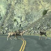 Review photo of Hells Canyon Recreation Area - Woodhead Campground by Mike M., May 31, 2025