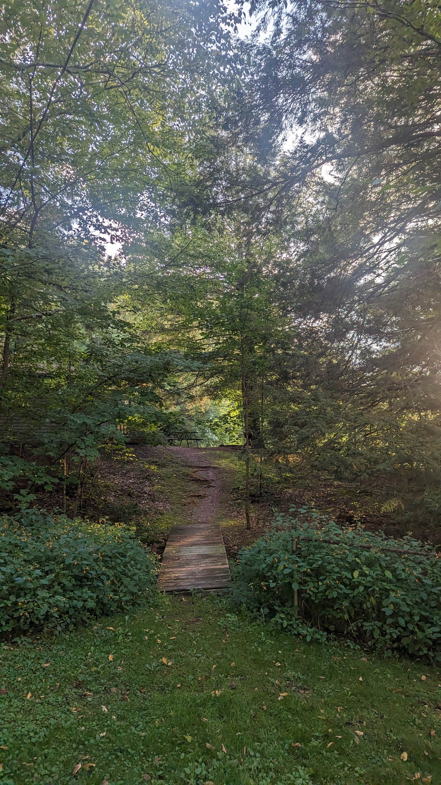 Camper submitted image from Woodland Campground - 3