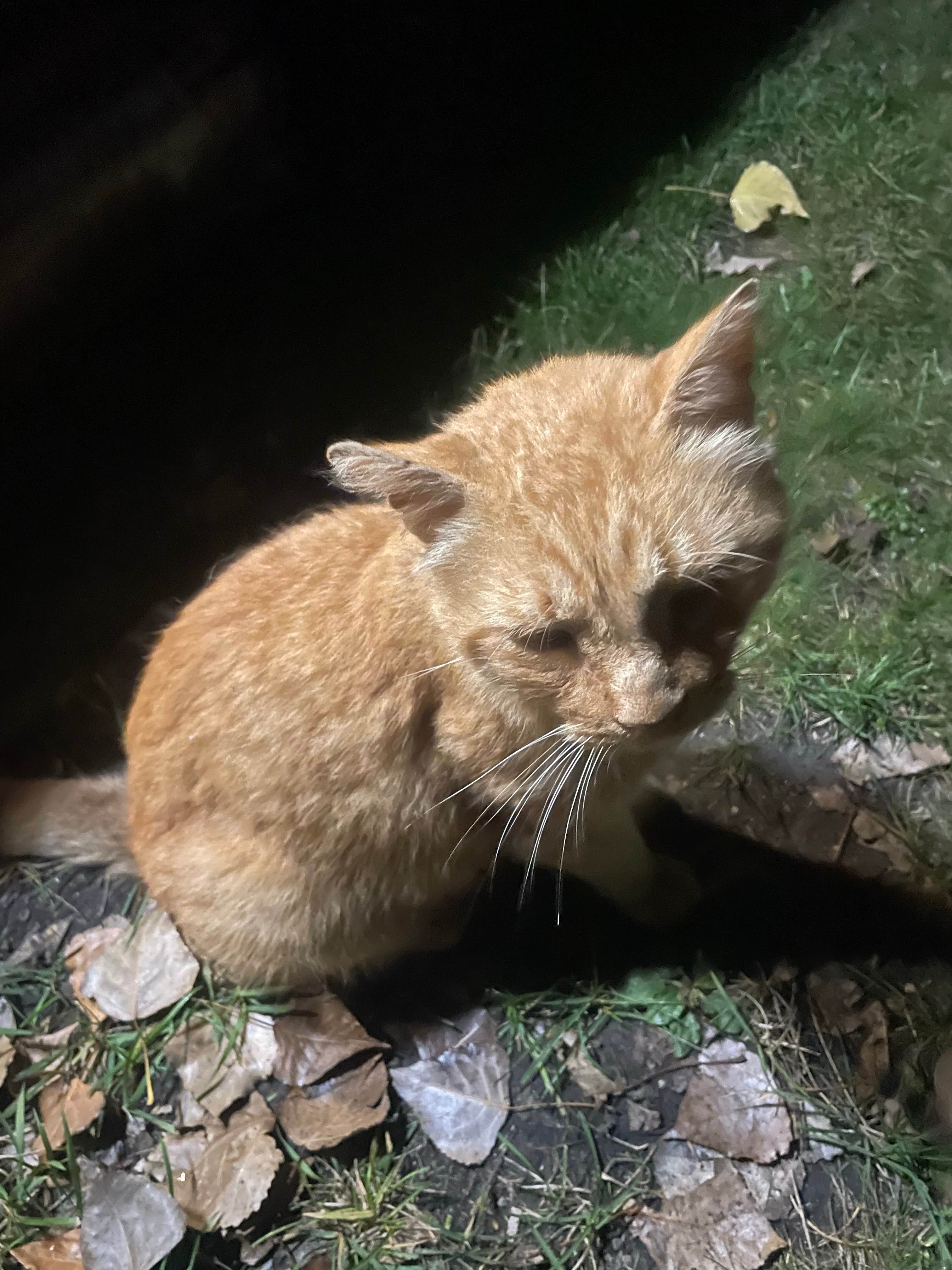 Camper-submitted photo at Woodland Resort near Fort Totten, ND