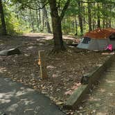 Review photo of Woodring Branch Primitive Campground — Carters Lake by Ney N., September 28, 2025
