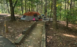 Ney N.'s photo of tent camping at Woodring Branch Primitive Campground — Carters Lake near Lindale, GA