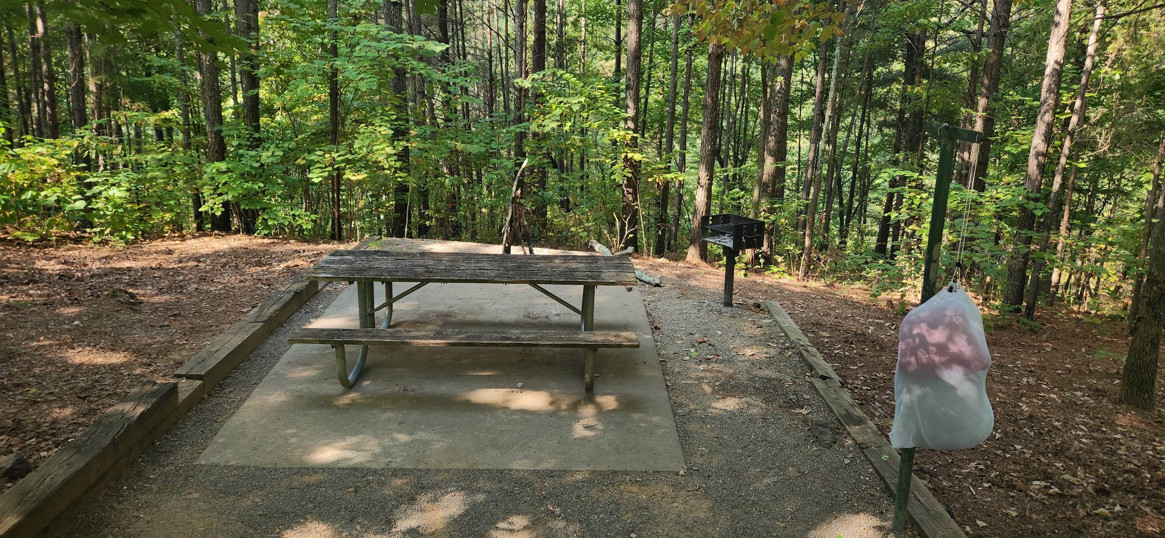 Camper-submitted photo at Woodring Branch Primitive Campground — Carters Lake near Holly Springs, GA