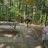 Review photo of Woodring Branch Primitive Campground — Carters Lake by Ney N., September 28, 2025