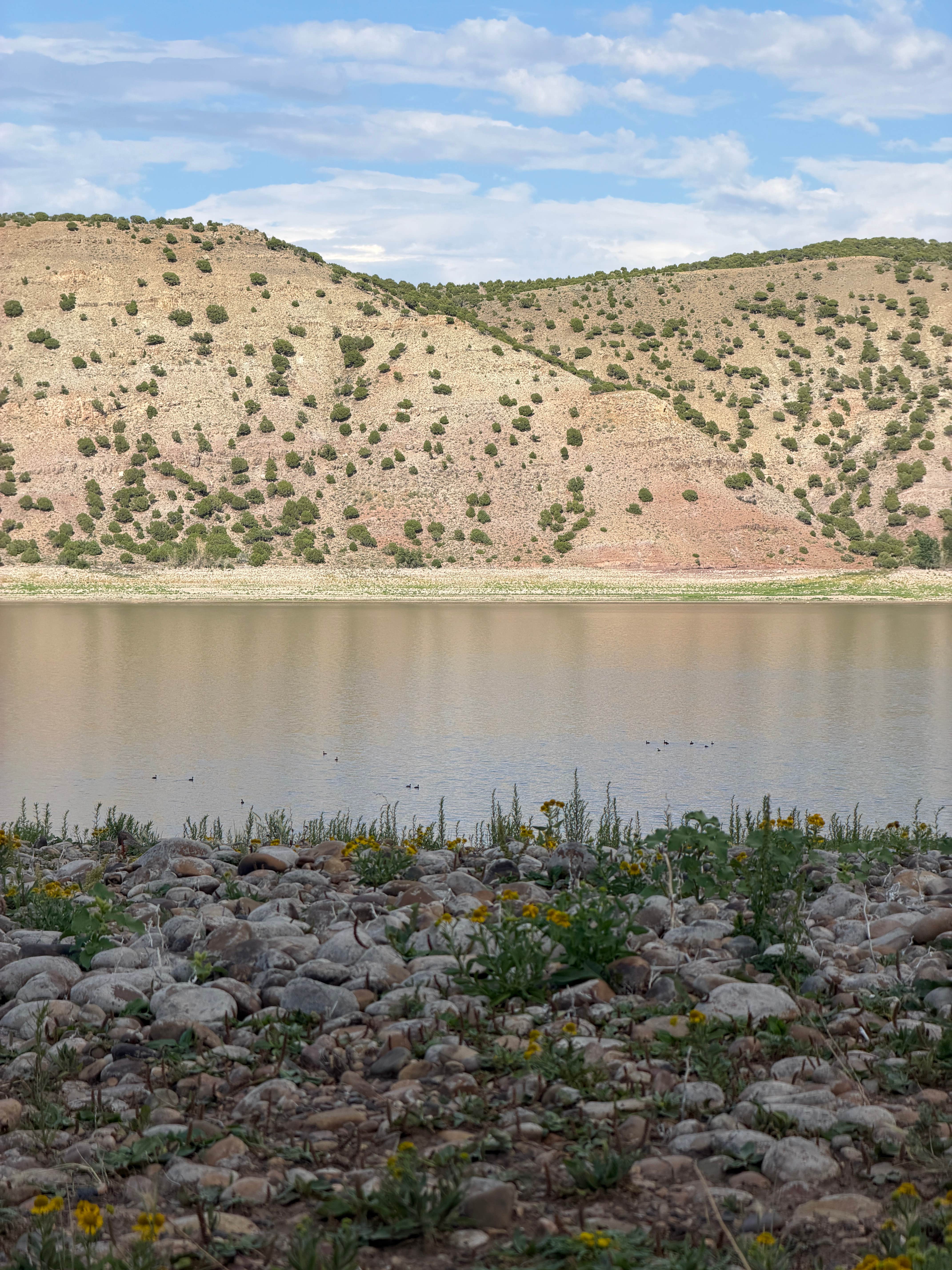 Camper-submitted photo at Woodruff Narrows Reservoir near Randolph, UT
