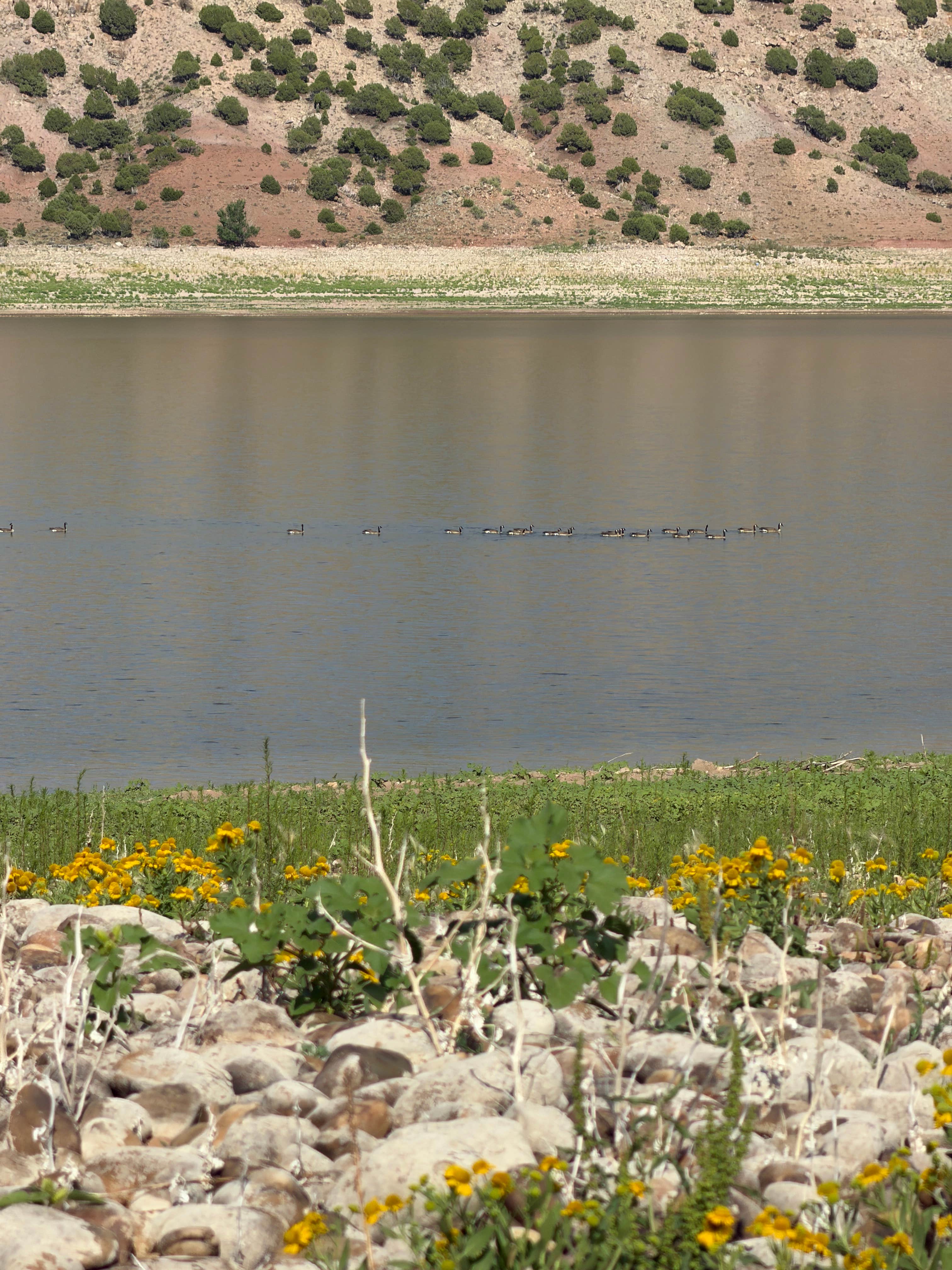 Camper-submitted photo at Woodruff Narrows Reservoir near Randolph, UT