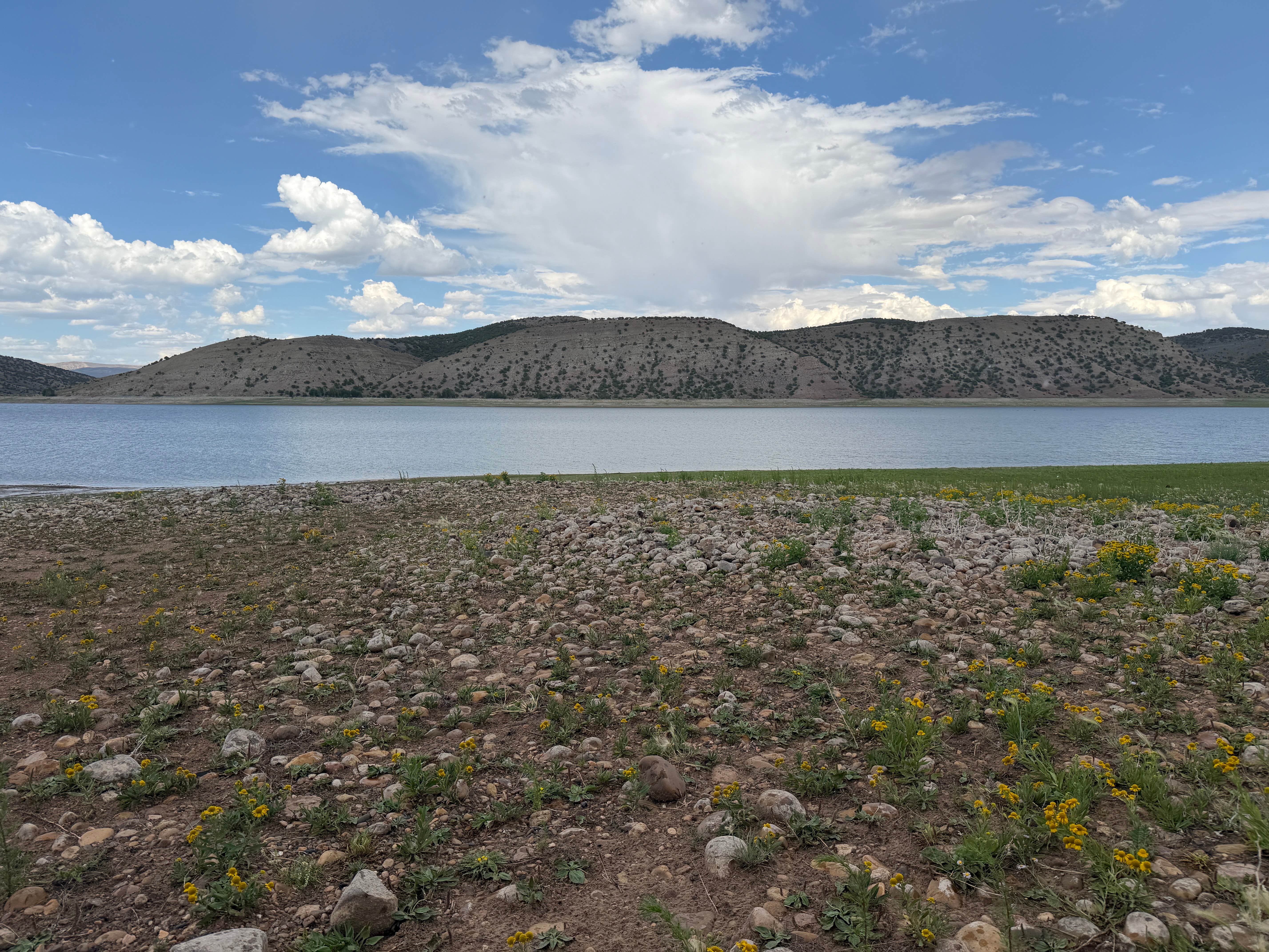 Camper-submitted photo at Woodruff Narrows Reservoir near Randolph, UT