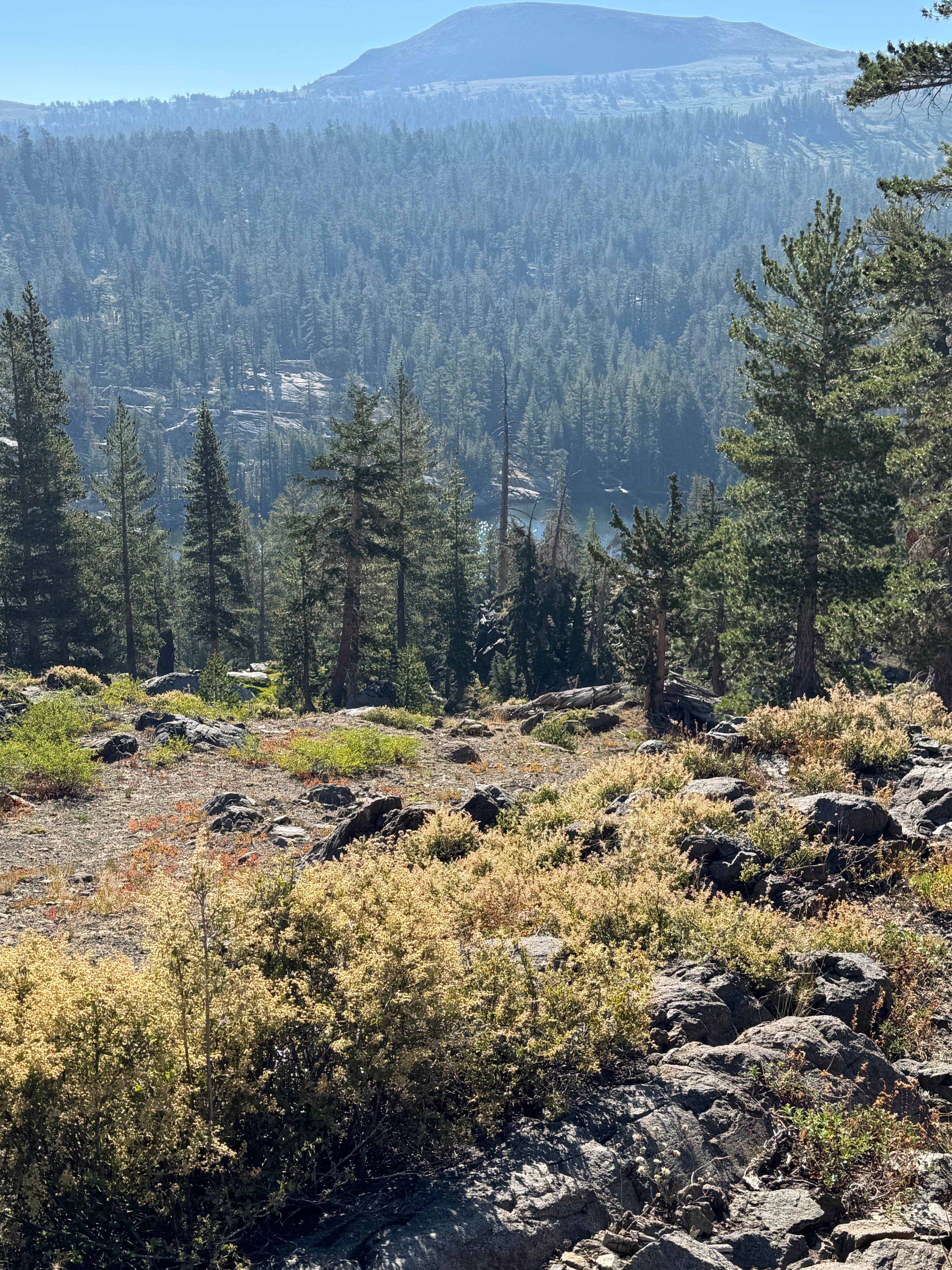 Camping near Bear River Lake Resort: Woods Lake Campground — Eldorado National Forest, Kirkwood, California