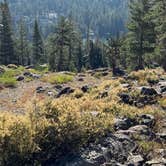 Review photo of Woods Lake Campground — Eldorado National Forest by Harold M., August 10, 2026