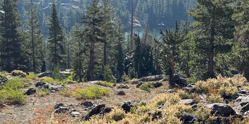 Camper submitted image from Woods Lake Campground — Eldorado National Forest