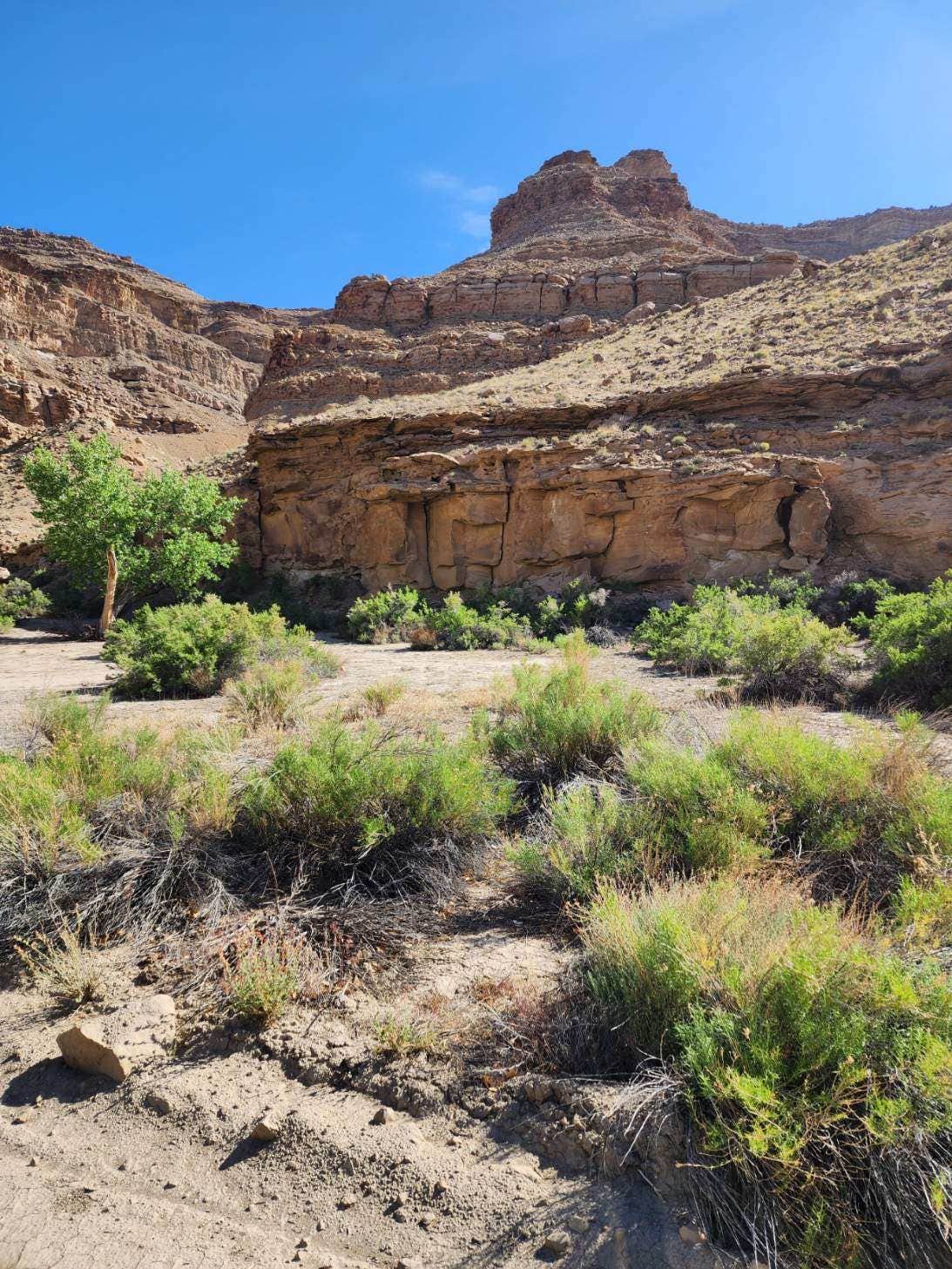 Camping near Swasey's Beach Campground — Desolation Canyon: Woodside Lower Price River Road Dispersed, Green River, Utah
